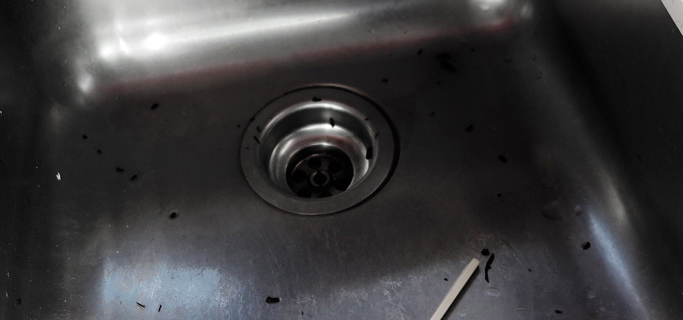 why does my kitchen sink drain smell like a sewer?
