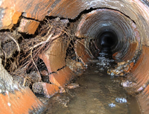 Older Neighborhoods Most Likely to Have Sewer Problems in Contra Costa County